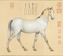 Horse Chaoni'er.jpg