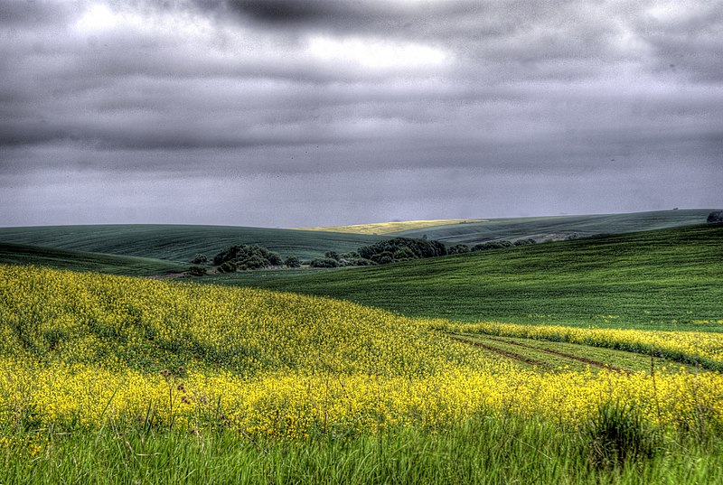 File:Husyatyns'kyi district, Ternopil's'ka oblast, Ukraine - panoramio (1).jpg