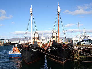 <span class="mw-page-title-main">1986 Hvalur sinkings</span> Sinking of whaling vessels by activists