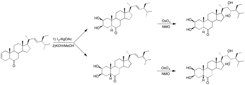 File:Hydroxylation in the Synthesis of Brassinosteroid.png