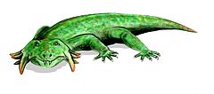 Hypsognathus (Procolophonidae)