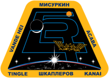 Description de l'image ISS Expedition 54 Patch.png.