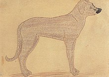 Il Cane/The Dog (1932) Ink Drawing textured with Needlepoint.