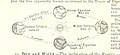 Image taken from page 28 of 'A Class-Book of Modern Geography ... New edition, revised and largely rewritten (by Albert Hill), etc' (11158845854).jpg