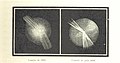 Image taken from page 307 of 'L'Espace céleste et la nature tropicale, description physique de l'univers ... préface de M. Babinet, dessins de Yan' Dargent' (11051367594).jpg