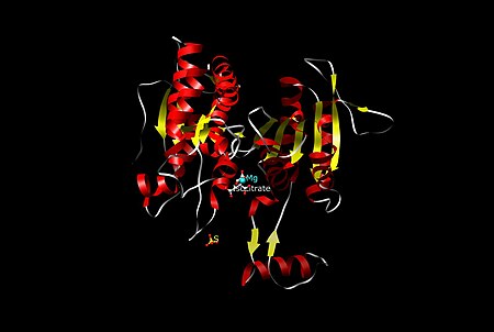 Isositrat dehidrogenase