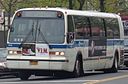 Jamaica LIRR 94th St Bus Stop 03.JPG