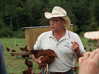 Joel Salatin American farmer, lecturer, and author (born 1957)