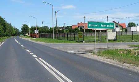 KOLONIA JAKTORÓW 02