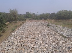 Kanjiapal, Odisha 756117, India - panoramio (5).jpg