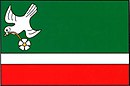 Bandeira de Kolešov