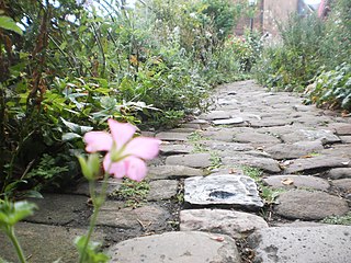 Cobblestone path in a pocket park