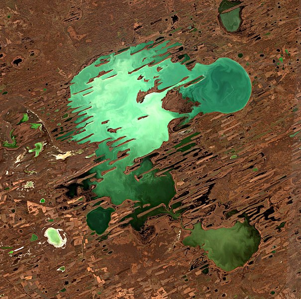 File:Lake Chany 2021-10-20 Sentinel-2 L2A True color.jpg