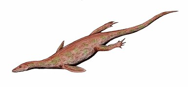 ليروصور (نوتوصورات)