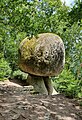 Rocher Le Champignon (tor granitique).