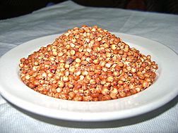 Plat de sorgho rouge au Burundi.