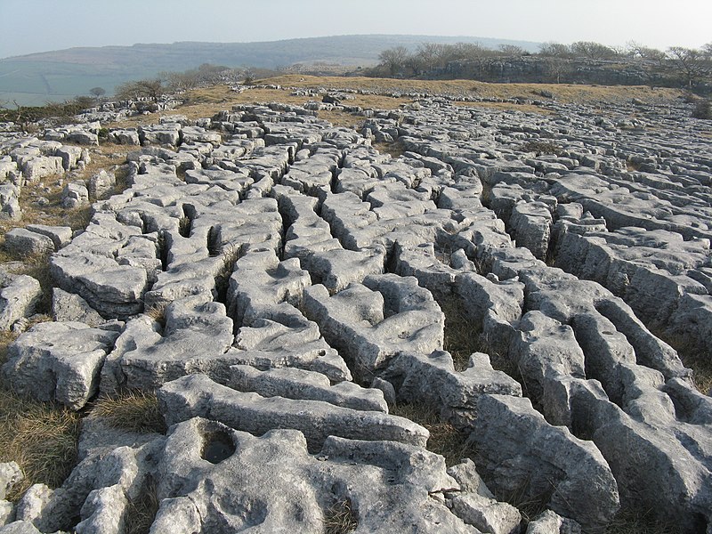 File:Limestone Pavement on Newbiggin Crags - geograph.org.uk - 2865373.jpg