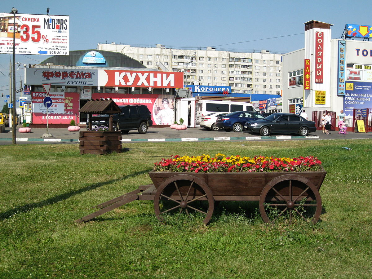 Бибирево 2010