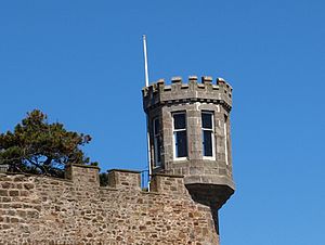 sea safari anstruther