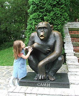 Sami (chimpanzee) Chimpanzee exhibited at the Belgrade Zoo