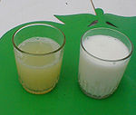 Serous exudate from udder in E. coli mastitis in cow (left), in comparison to normal milk (right) Mamite a colibacile laecea.jpg