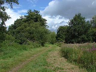 <span class="mw-page-title-main">Mayford Meadows</span>