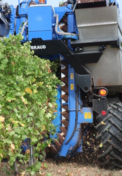 File:Mechanical harvester in Lombardy.jpg