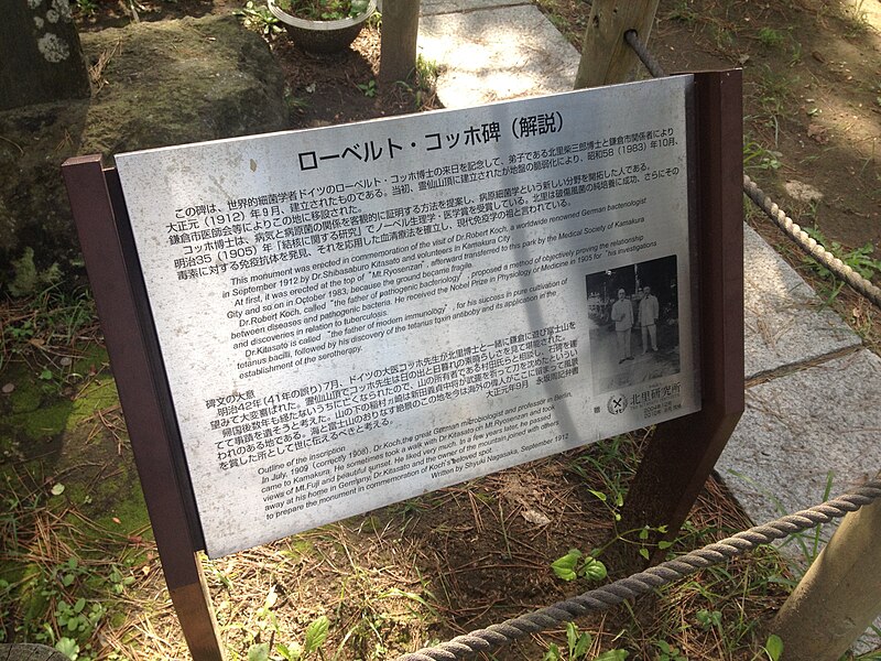 File:Memorial to Robert Koch in Kamakura.jpg