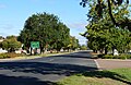 English: Avenue of Honour at Merino, Victoria