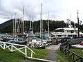 Micalvi Yacht Club in Puerto Williams