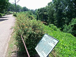 Reached the summit of Missionary Ridge at about this point. The regiment's descriptive tablet lies in the foreground. Missridge.jpg