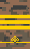 Mongolian Army-CPL(v)-field.svg