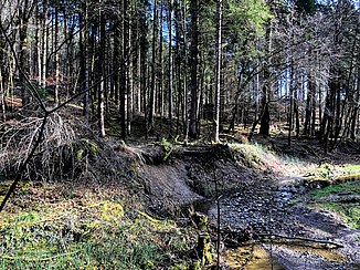 Moosbach bei Standkirchen