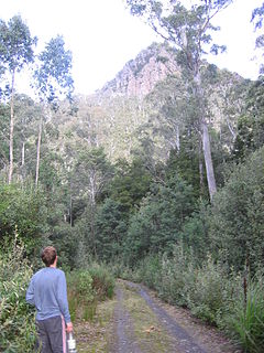 Mother Cummings Peak mountain