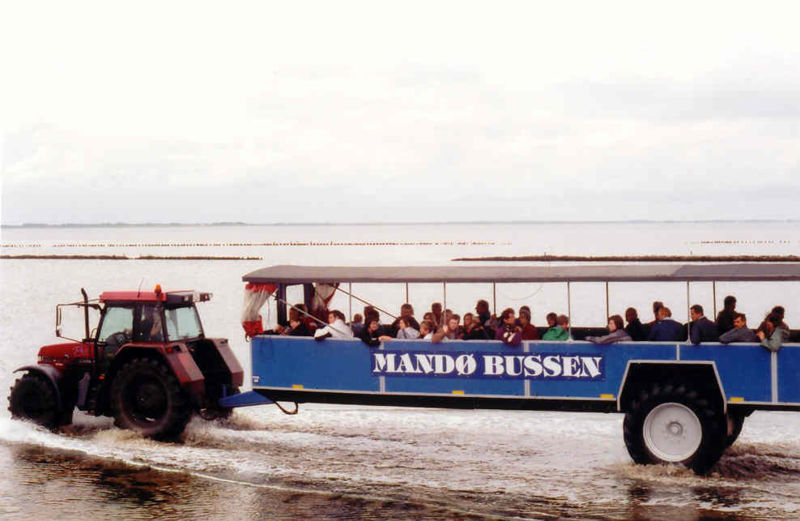 File:Mudflat transport.jpg