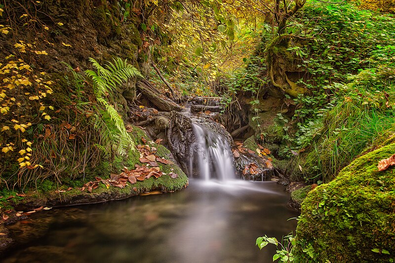 File:Muehlbachschlucht bei tengen.jpg