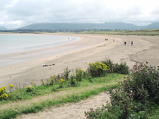 Mullaghmore Beach (49316792647)