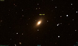 NGC 1107