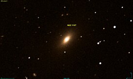 NGC 1107 DSS.jpg