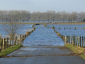 32. Platz: Smitfotos Neu! mit Naturschutzgebiet „Bislicher Insel“, Rheinhochwasser im Januar 2011, Stadsweide, Eyländer Weg aus Richtung Werrich direkt hinter dem Deich noch vor den Flutmulden