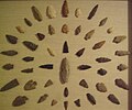 A collection of stone projectile points from North America.