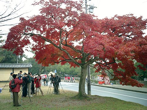 Nara