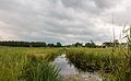 Nationaal Park Weerribben-Wieden. Wandeling over het Laarzenpad door veenmoeras van De Wieden.