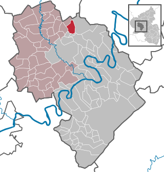 <span class="mw-page-title-main">Niederscheidweiler</span> Municipality in Rhineland-Palatinate, Germany