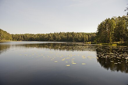 Lake in Nuuksio