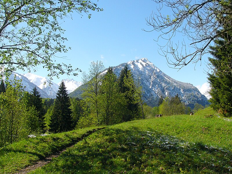 File:Oberstdorf-Krappberg07.jpg