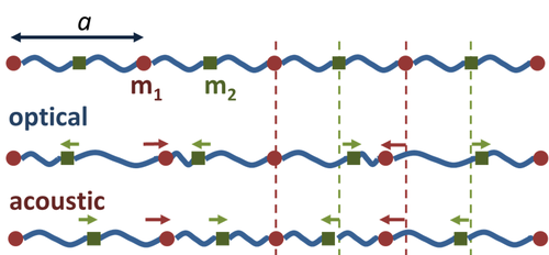 Optical and acoustic vibrations in a linear diatomic chain.