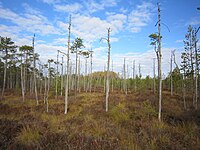 Naturpark Pähklisaare