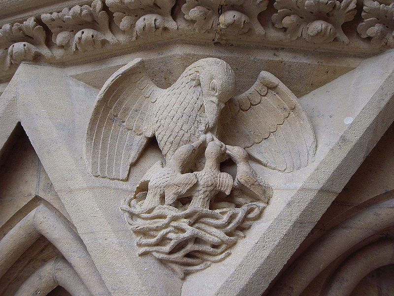 File:Pélican, Détail de la Cathédrale Saint-Étienne de Metz.jpg