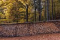 English: Stack of firewood at the forest road Deutsch: Brennholzstapel an der Forststraße